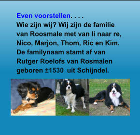 Even voorstellen. . . . Wie zijn wij? Wij zijn de familie van Roosmale met van li naar re, Nico, Marjon, Thom, Ric en Kim. De familynaam stamt af van Rutger Roelofs van Rosmalen geboren ±1530  uit Schijndel.