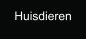 Huisdieren