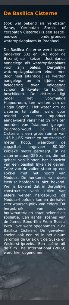 De Basilica Cisterne   (ook wel bekend als Yerebatan Saray, Yerebatan Sarnici of Yerebatan Cisterne) is een zesde-eeuwse ondergrondse wateropslagplaats in Istanboel.  De Basilica Cisterne werd tussen ongeveer 532 en 542 door de Byzantijnse keizer Justinianus aangelegd als wateropslagplaats voor zijn paleis. Dergelijke wateropslagplaatsen vindt men door heel Istanboel; ze werden aangelegd om in tijden van belegering over voldoende schoon drinkwater te kunnen beschikken. De cisterne ligt onder het voormalige Hippodroom, ten westen van de Hagia Sophia. Het water om de cisterne te vullen werd door middel van een aquaduct aangevoerd vanaf het 19 km ten noorden van Istanboel gelegen Belgrado-woud. De Basilica Cisterne is een grote ruimte van 143 bij 65 meter en omstreeks 9 meter hoog, waardoor de capaciteit ongeveer 80.000 kubieke meter bedraagt. In de cisterne staan 336 zuilen, die het geheel van binnen het aanzicht van een basiliek lijken te geven. Twee van de zuilen staan op een sokkel met het hoofd van Medusa. De herkomst van deze Medusa-hoofden is niet bekend. Wel is bekend dat in dergelijke constructies vaak zuilen van elders werden hergebruikt, de Medusa-hoofden komen derhalve zeer waarschijnlijk van elders. Dit hergebruik van oude bouwmaterialen staat bekend als spoliatie. Een aantal scnes van de James Bond-film From Russia With Love werd opgenomen in de Basilica Cisterne. De gewelven spelen ook een rol in het album Jeromba de Griek uit de Suske en Wiske-stripreeks. Een scne uit de film The International (2009) werd hier opgenomen.